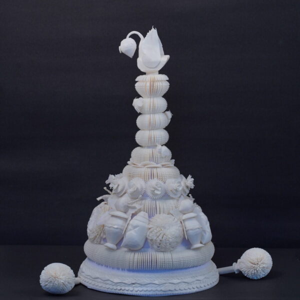 Debnagori Bridal Topor